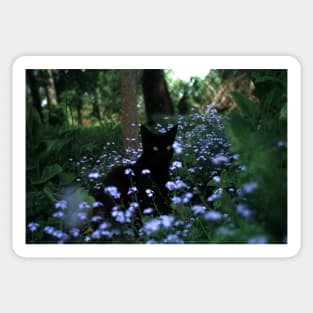 Black tomcat Paule in the flowerbed Sticker